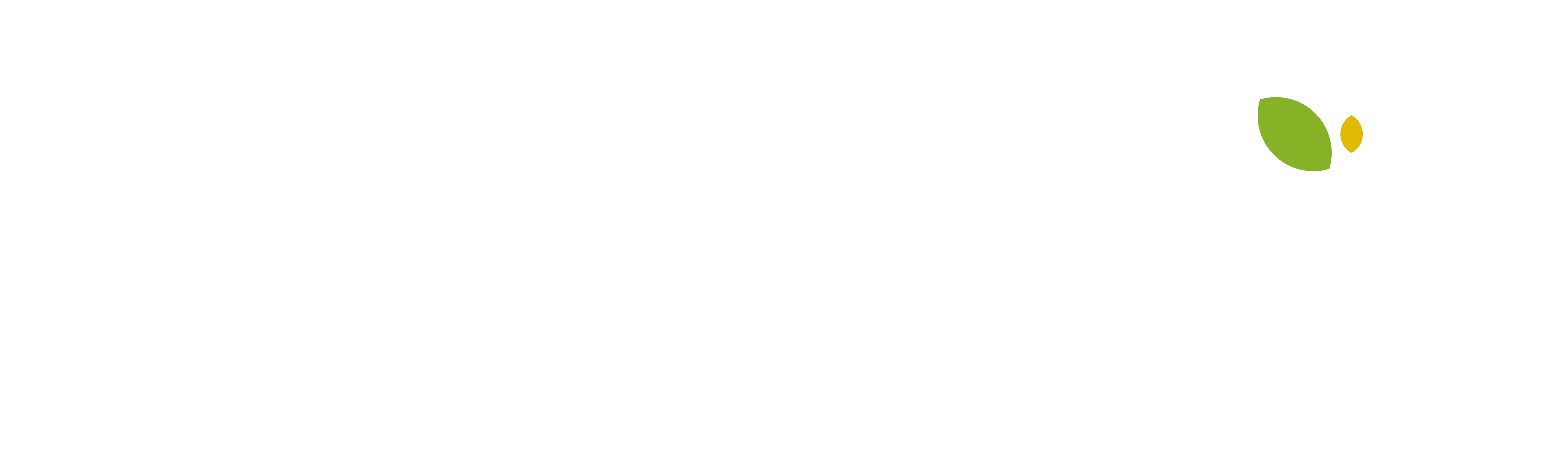 Arvora